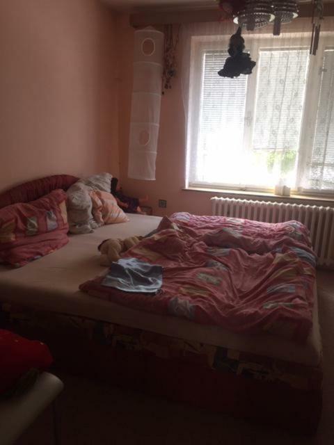 Apartament Dolní Bukovsko Exterior photo